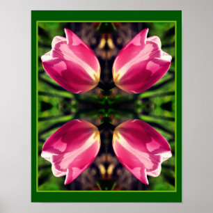 Poster Fleur Tulipe Rose Dans Miroir Soleil Abstrait