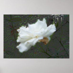 Poster Fleur Zen