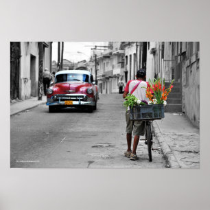 Poster Fleuriste cubain