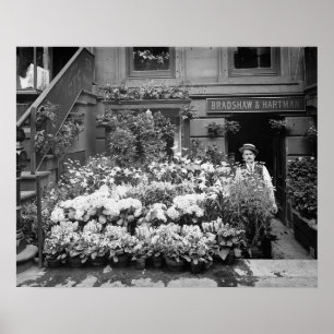 Poster Fleuriste de New York, 1895. Photo vintage