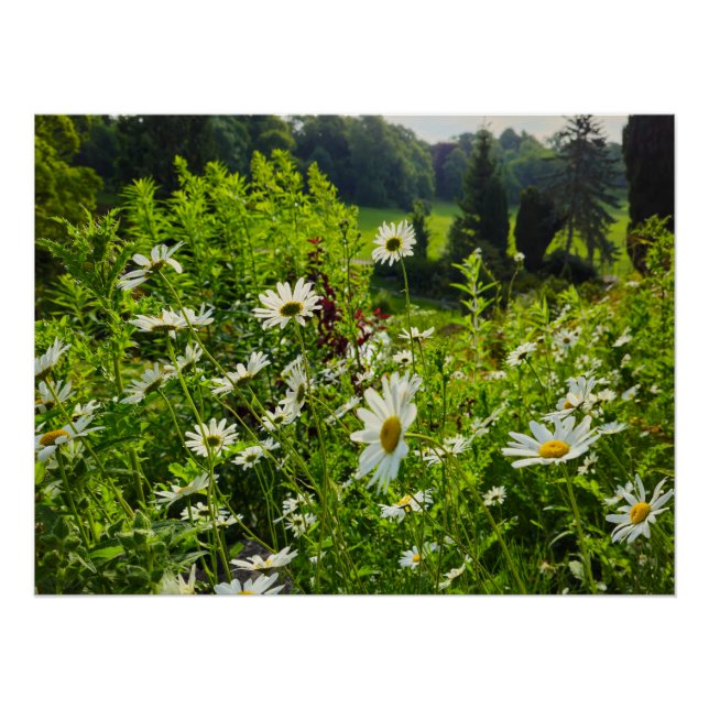 Poster Fleurs (Devant)