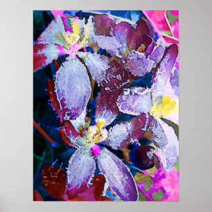 POSTER FLEURS