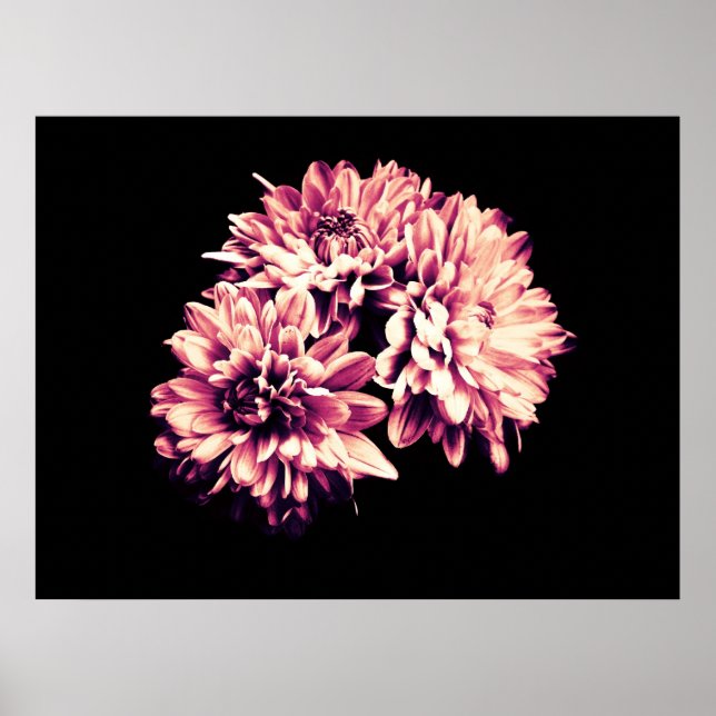 Poster Fleurs (Devant)