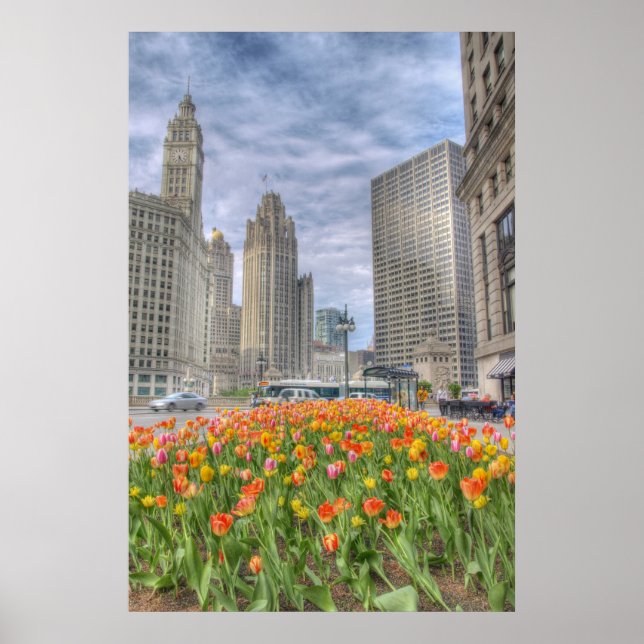 Poster Fleurs à Chicago (Devant)