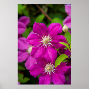 Poster Fleurs à Robinette's Apple Haus and Gift Barn 2