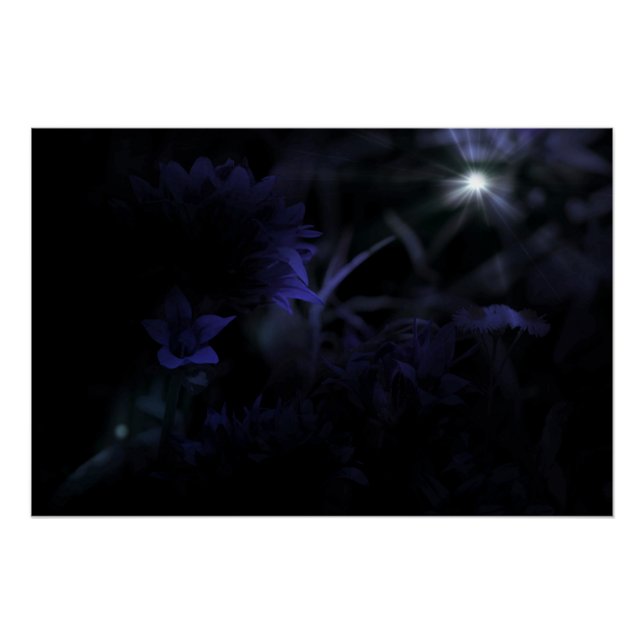 Poster Fleurs au clair de lune (Devant)