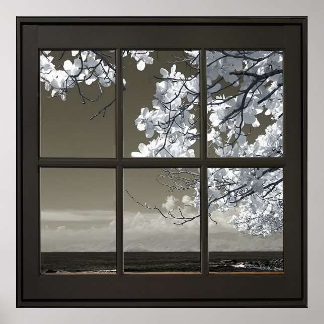 Poster Fleurs blanches 24x24 Fenêtre Faux noirs (Devant)