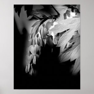 Poster Fleurs Cardiaques Saignantes En Noir Et Blanc