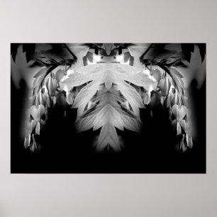Poster Fleurs Cardiaques Saignantes Noir Et Blanc Abstrai