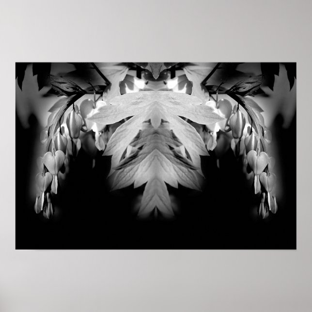 Poster Fleurs Cardiaques Saignantes Noir Et Blanc Abstrai (Devant)