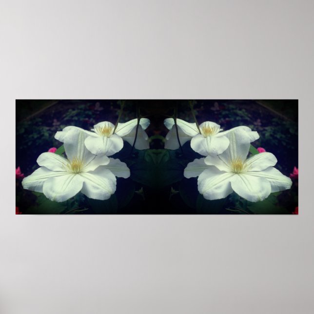 Poster Fleurs Clematis Blanches Miroir Abstrait (Devant)