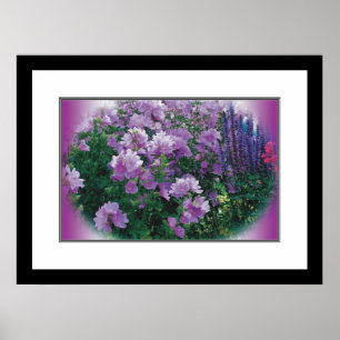 Poster Fleurs colorées