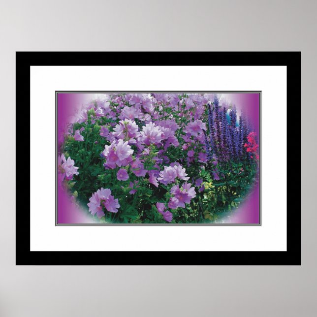 Poster Fleurs colorées (Devant)
