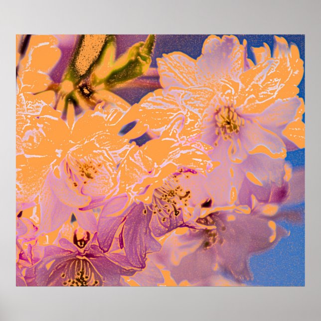 Poster Fleurs colorées Imprimer (Devant)