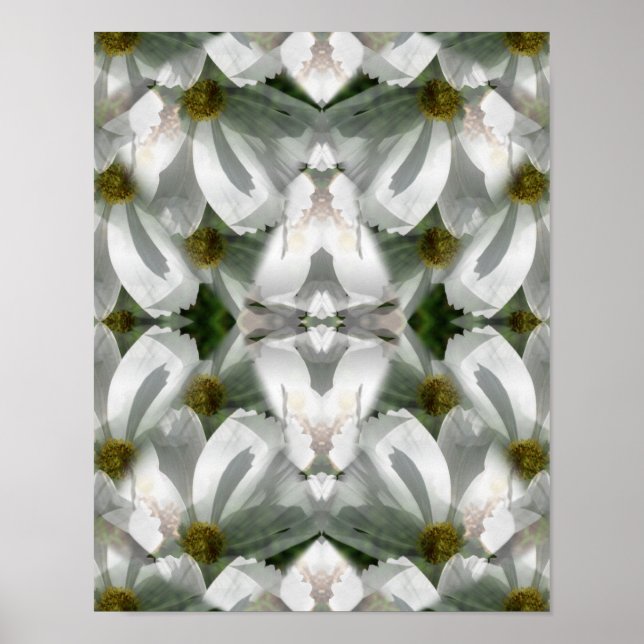 Poster Fleurs Cosmos Blanches Art Abstrait (Devant)