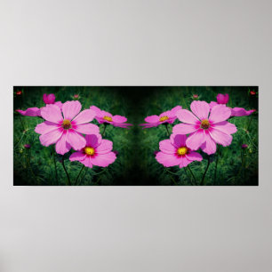Poster Fleurs Cosmos rose miroir Abstrait