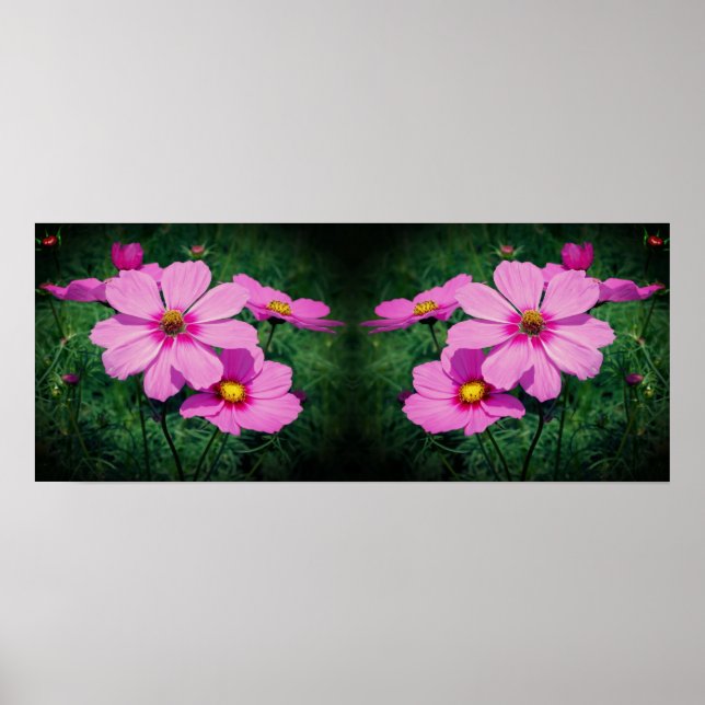 Poster Fleurs Cosmos rose miroir Abstrait (Devant)