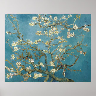 Poster Fleurs d'amandes par Vincent van Gogh