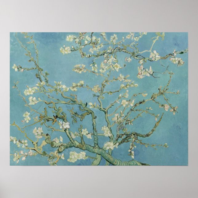 Poster Fleurs d'amandes par Vincent Van Gogh Art (Devant)