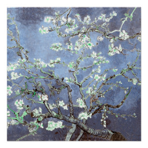 Poster Fleurs d'amandier de Van Gogh Bleu Acier