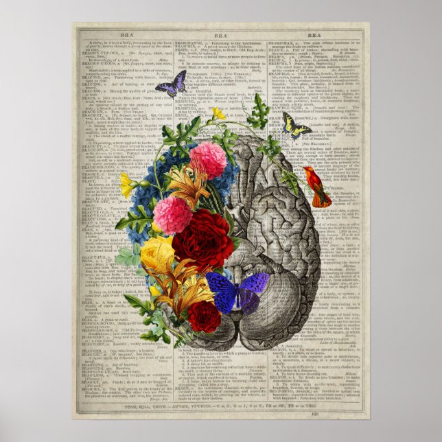 Poster Fleurs d'anatomie cérébrale Papillons de colibris (Devant)