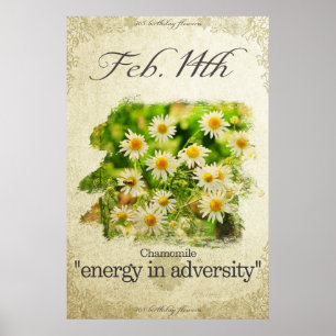 Poster Fleurs d'anniversaire le 14 février "Chamomile"