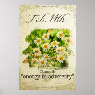 Poster Fleurs d'anniversaire le 14 février "Chamomile"