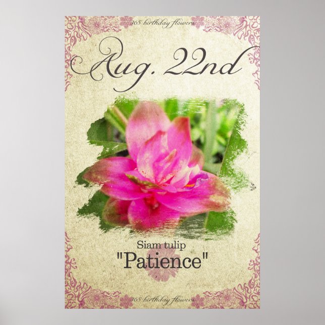 Poster Fleurs d'anniversaire le 22 août "Siam tulip"