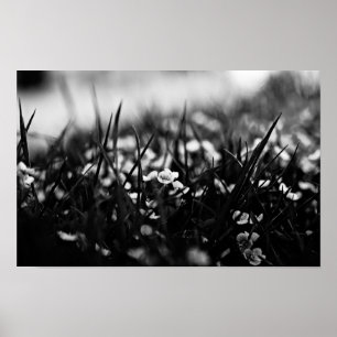 Poster Fleurs dans le champ au printemps