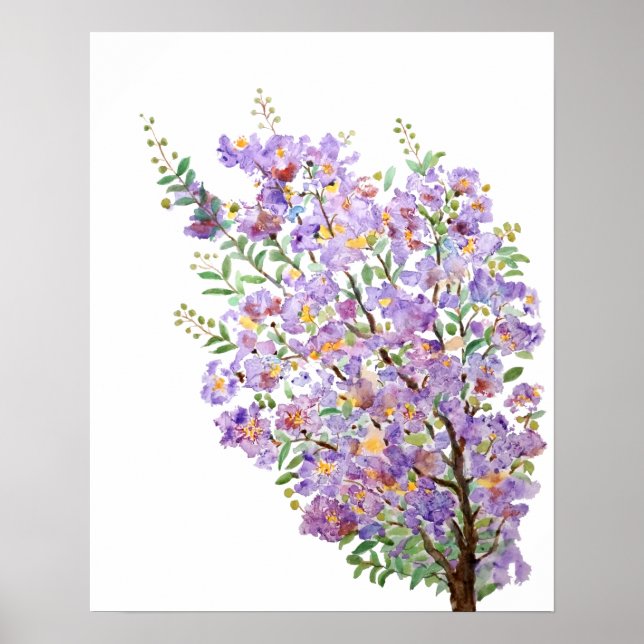 Poster fleurs d'aquarelle de myrte violette (Devant)