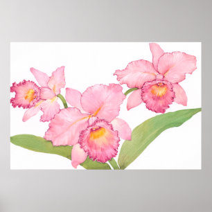 Poster Fleurs d'aquarelle rose exotique