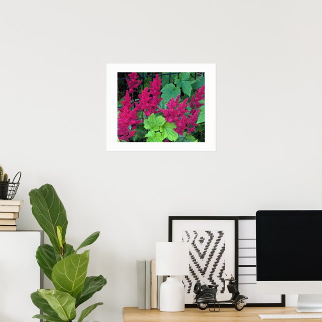Poster Fleurs d'Astilbe Rose Profond (Bureau à domicile)