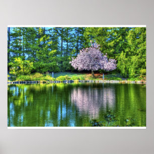 Poster Fleurs de cerisier