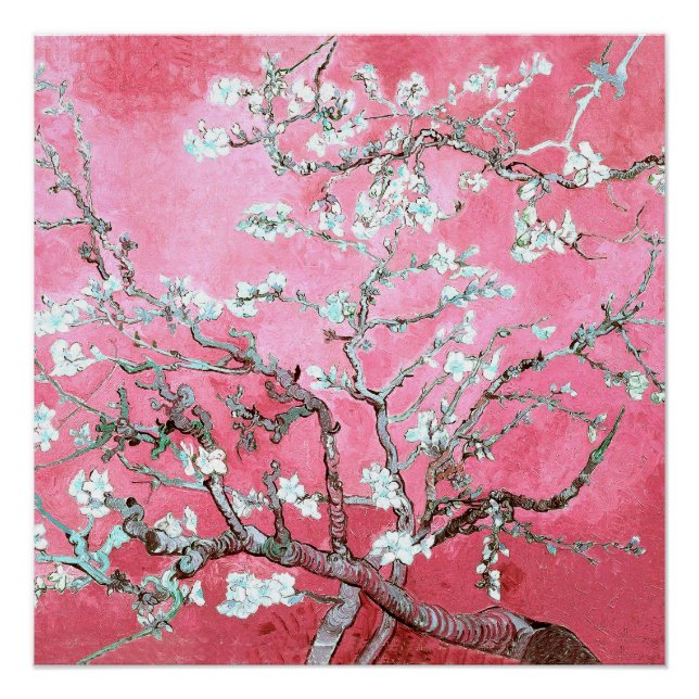 Poster Fleurs de cerisier de Van Gogh rose bleu (Devant)