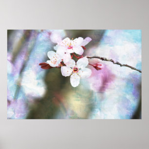 Poster Fleurs de cerisier peintes