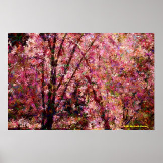 Poster Fleurs de cerisiers