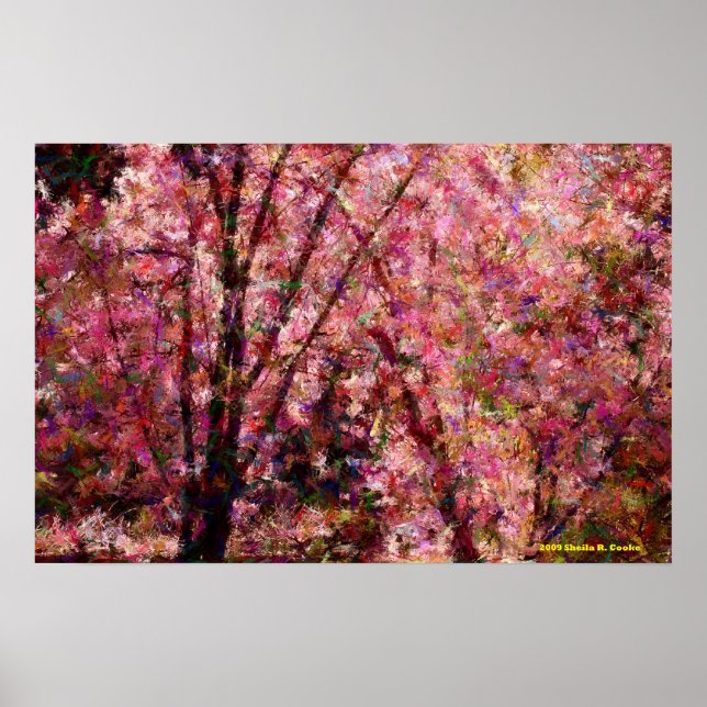 Poster Fleurs de cerisiers (Devant)