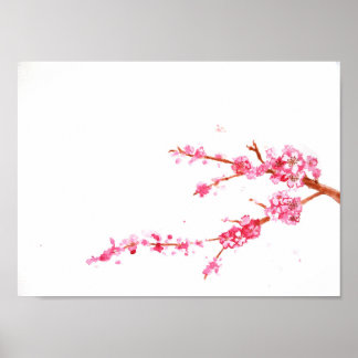 Poster Fleurs de cerisiers