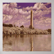 Fleurs de cerisiers au monument Washington
