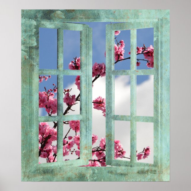Poster Fleurs de cerisiers dans la fenêtre (Devant)