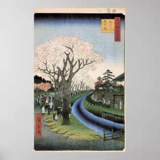 Poster Fleurs de cerisiers sur les rives de la rivière Ta