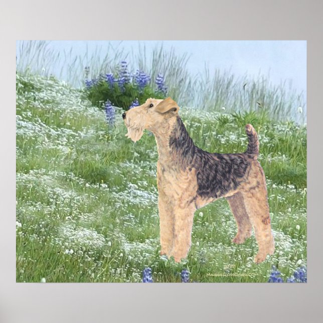Poster Fleurs de champ (Devant)