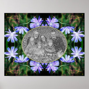 Poster Fleurs de chicorée bleu sauvage Ajouter votre prop