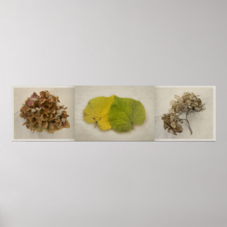 Poster fleurs de chute tryptich