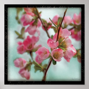 Poster Fleurs de coing