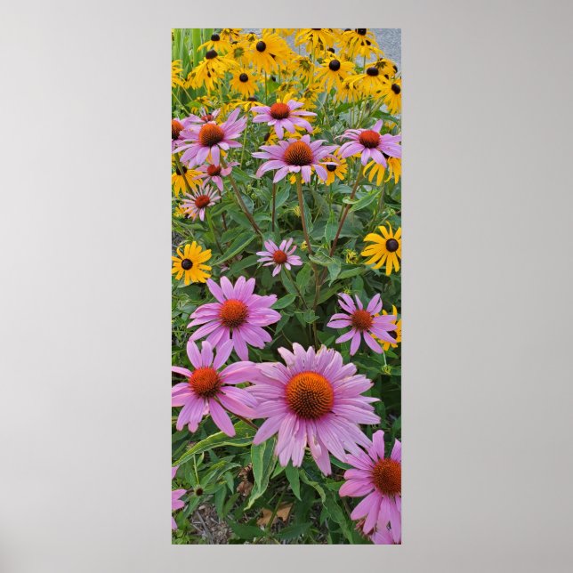 Poster Fleurs de cône rose et jaune Photographie de la na (Devant)