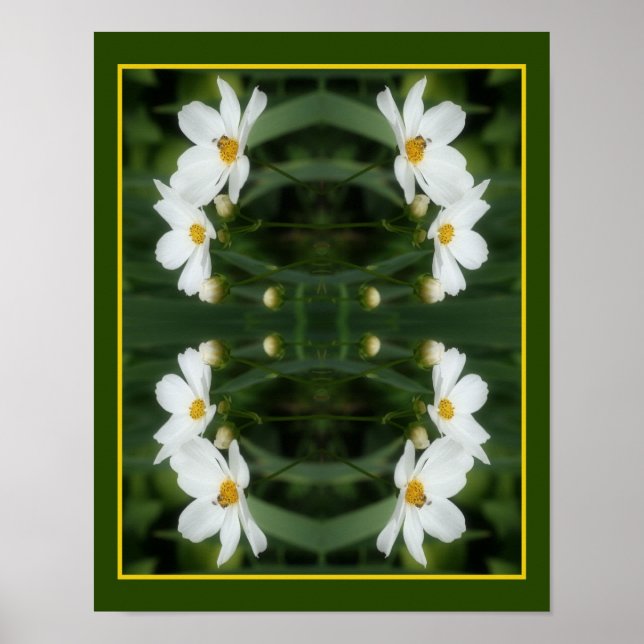 Poster Fleurs De Cosmos Blanc Et Abeille Abstraite (Devant)