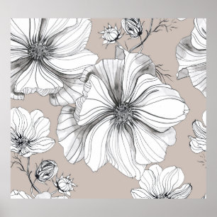 Poster Fleurs de Cosmos : Motif de Dessin Botanique.