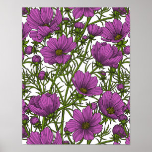 Poster Fleurs de cosmos violet