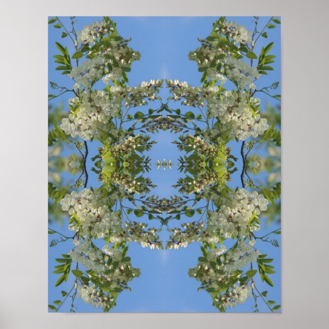 Poster Fleurs de Criquet blanc Abstraites (Devant)